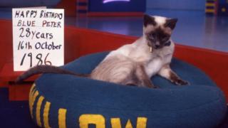 Willow the Blue Peter cat.