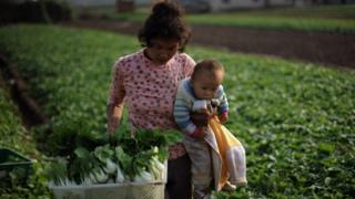 Madre con su bebé en una plantación de pak choi en China