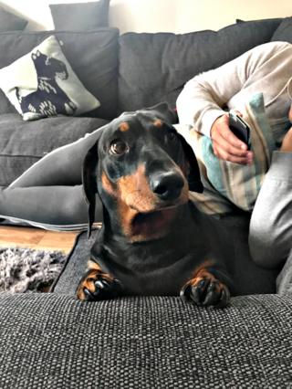 Flynn