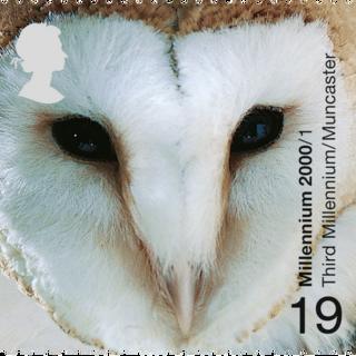 Bird stamp
