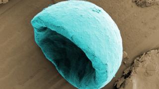 Microparticle