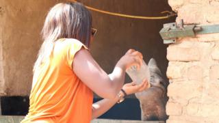 Ayshah bottle feeding a baby rhino in South Africa