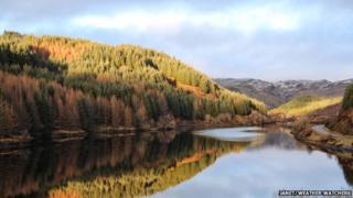 Autumn trees by a lake on a bright day