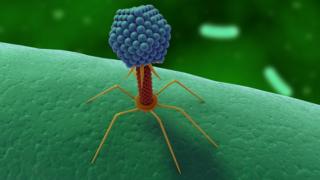 Bacteriofago
