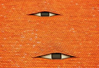 image of a roof which is orange and the windows look like eyes