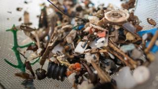 microplastics