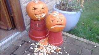 Rosie and Grace's pumpkins
