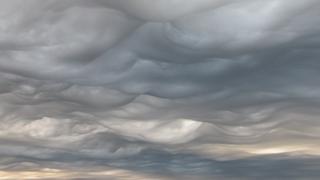 asperitas