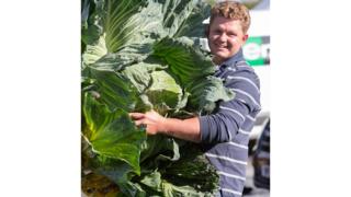 giant-veg.