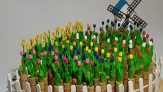 Tulips