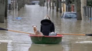 Dog and woman in a boat