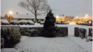 Snow covered garden in Glasgow