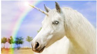 unicorn image