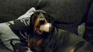 Flynn