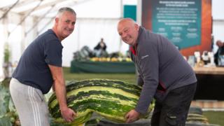 giant-veg.