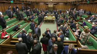 MPs voting