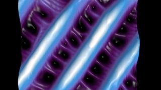 An extreme close-up of a butterfly wing