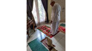 Cat-joining-in-with-prayer