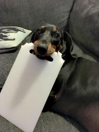 Flynn