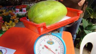 A giant Mango