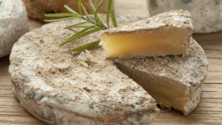 raw milk cheese