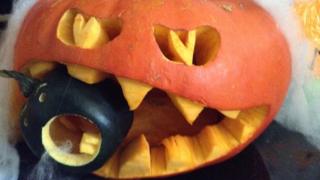 Lewis's pumpkin