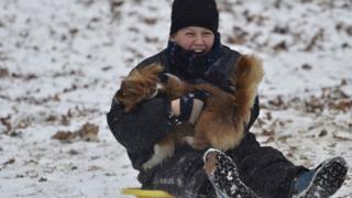 Sledging with the dog