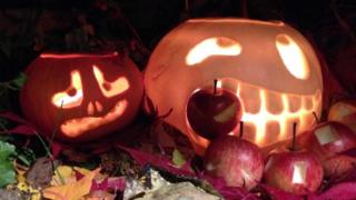 Saskia's pumpkin