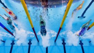 Comienzo de una competencia de natación