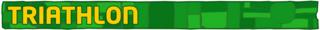triathlon banner