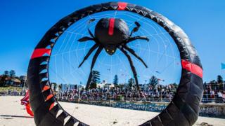 spider-kite