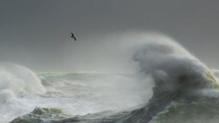 A seagull flies above a big wave