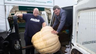 giant-veg.