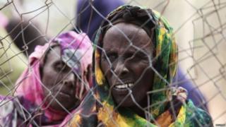 New arrivals in Dadaab