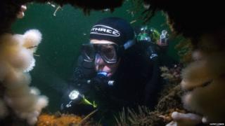 Cathy Lewis' picture of a diver with a torch