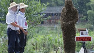 A bee keeper wearing thousands of bees during a bee competition in China