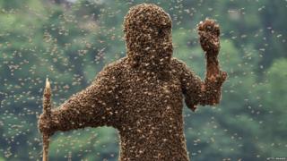 A bee keeper wearing thousands of bees during a bee competition in China