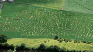 Bugs themed maze at Lakeland Maze Farm Park in Cumbria