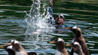 Rob Thomas, the conservation and research manager for the Royal Zoological Society of Scotland swims at the penguin enclosure