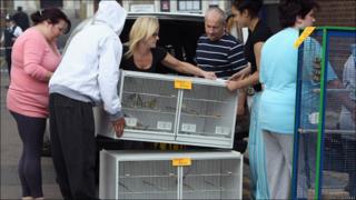 Pets being taken out of pet store