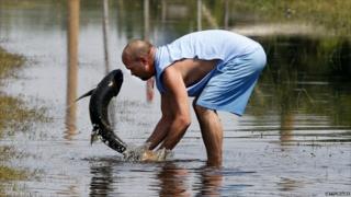 Greg Austin in North Carolina tries to save a large fish that was washed out of a local pond during the storm surge from Hurricane Irene. His town was cut off by the hurricane.