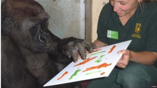N'Dowe, the lowland gorilla, with zoo keeper Lorraine Miller.