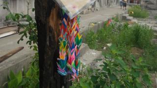 Origami cranes hanging from a tree in a school in Ishinomaki.