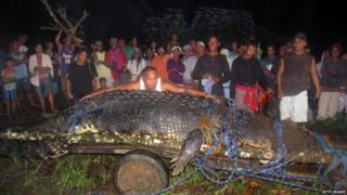 World's longest crocodile?