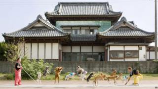 World record for dogs on a skipping rope