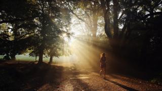 Hampstead heath