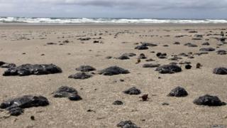 Oil washed onto the beach