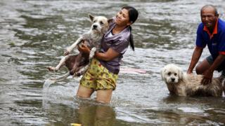 People carrying their dogs through water