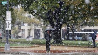Snowfall in Washington DC.