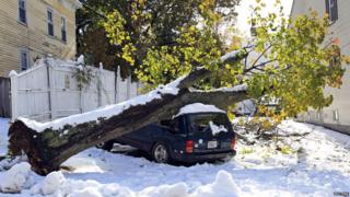 A large tree that's toppled on top of a car after early snowfall in Worcester, Massachusetts
